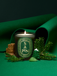 Alternative Image Diptyque Sapin Candle RESIZED