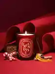 Alternative Image Dipytque Friandise Scented Candle RESIZED