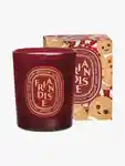 Hero DIPTYQUE Friandise Candle