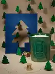 Alternative Image DIPTYQUE Sapin Large Candle