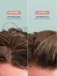 Alternative Image ARKIVE The Immaculate Hybrid Cleansing Fluid