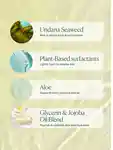 Alternative Image OSEA Undaria Algae Body Wash