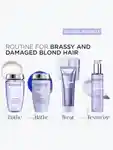 Alternative Image Kerastase Blond Absolu Heat Protecting Primer