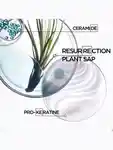 Alternative Image Kerastase Resistance Strengthening Shampoo