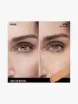 Alternative Image Bare Minerals Bare Pro16 Hr Wear All Over Matte Concealer