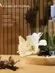Alternative Image ARKIVEA Kind Of Floral EDP