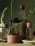 Alternative Image ARKIVE Future Bloom EDP