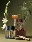 Alternative Image ARKIVE Fragrance Discovery Set