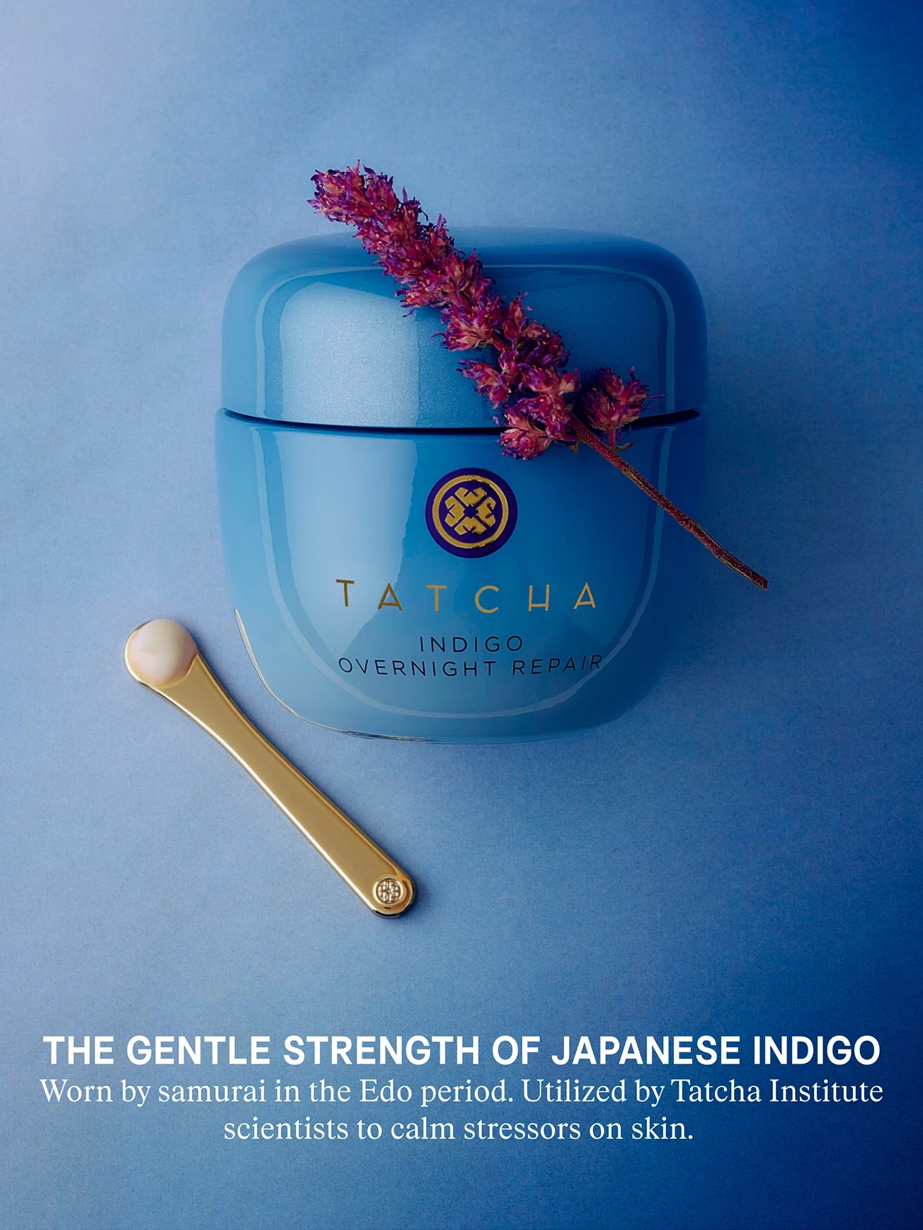 Alternative Image Tatcha Biggu Indigo Overnight Repair