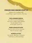 Alternative Image Anatome Stressed Mind Oil