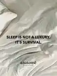 Alternative Image Anatome Cornish Lavender Pillow Spray