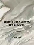 Alternative Image Anatome Somali Pillow Spray