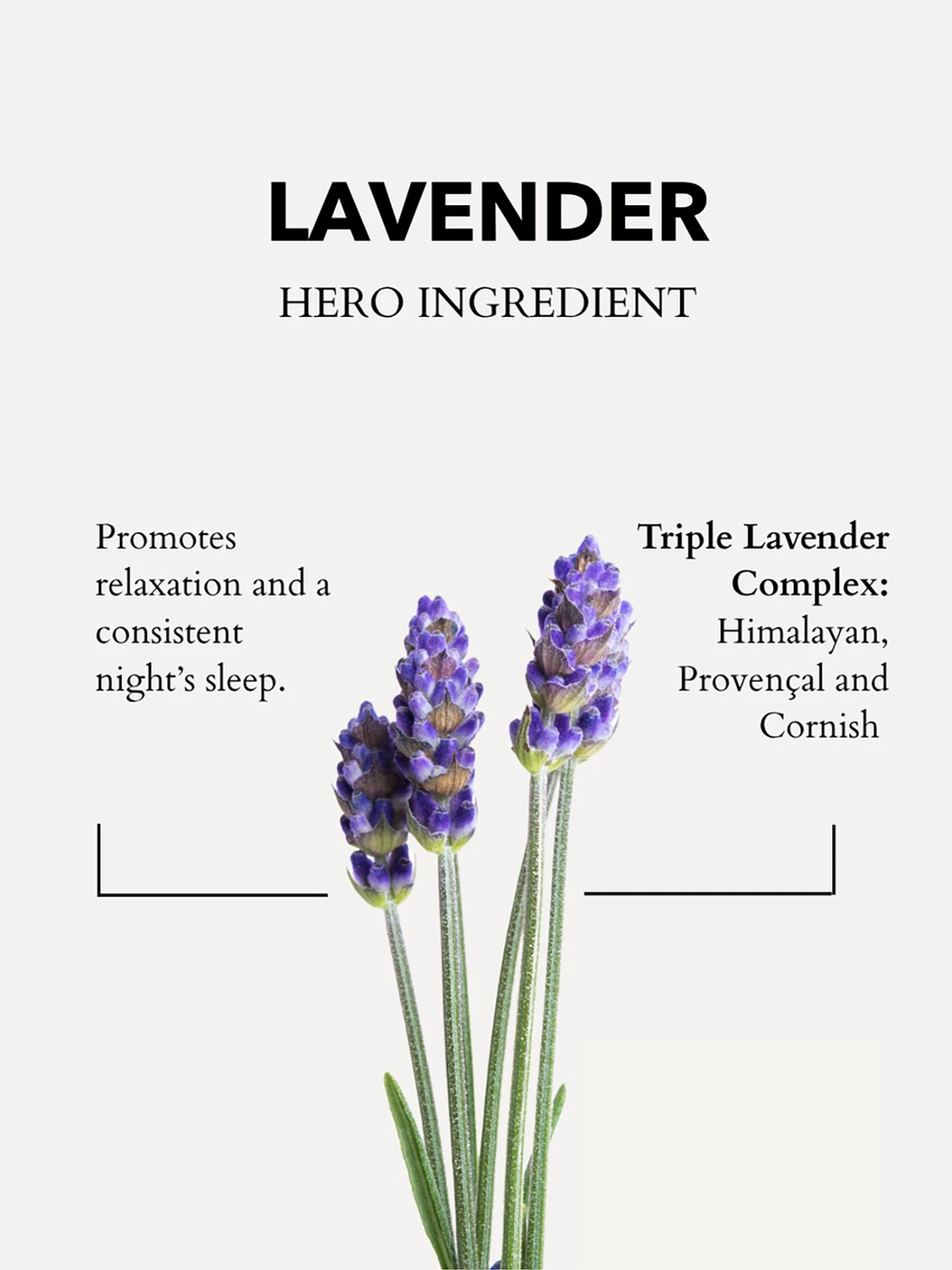 Alternative Image Anatome Lavender Bath Shower Oil