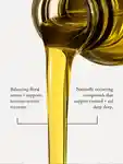 Alternative Image Anatome Frankincense Oil