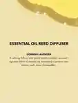 Alternative Image Anatome Lavender Diffuser