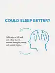 Alternative Image Anatome The Gift Of Good Sleep