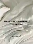 Alternative Image Anatome The Gift Of Good Sleep