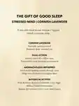 Alternative Image Anatome The Gift Of Good Sleep