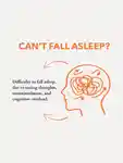 Alternative Image Anatome The Gift Of Good Sleep