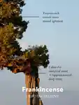 Alternative Image Anatome The Gift Of Good Sleep