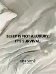 Alternative Image Anatome The Gift Of Good Sleep