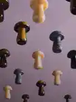 Alternative Image Herbar The Gua Shroom