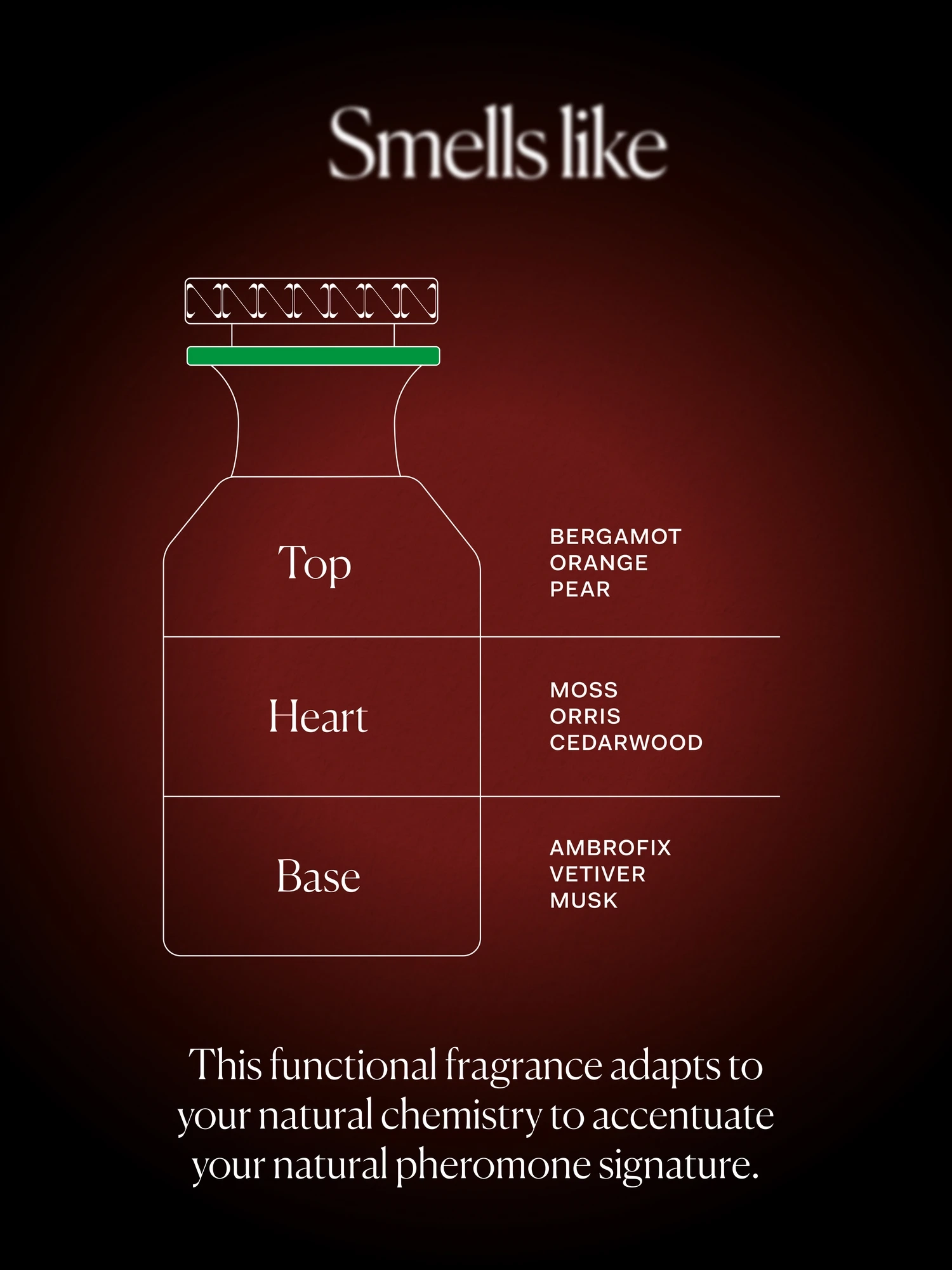 Alternative Image The Nue Co Us Fragrance