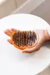 Alternative Image Manta Brush