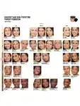 Alternative Image Bare Minerals Bare Pro24 Hr Skin Perfecting Powder Foundation