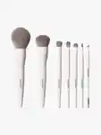 Hero Morphe Best Of Blends Brush Set