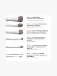 Alternative Image Morphe Along For The Glide Brush Set