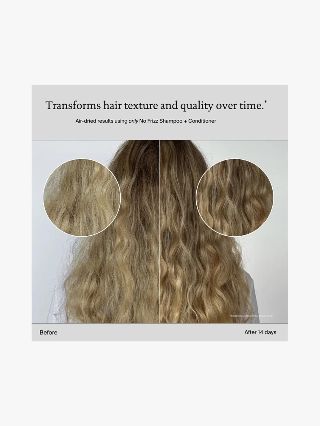 Alternative Image Living Proof No Frizz Shampoo