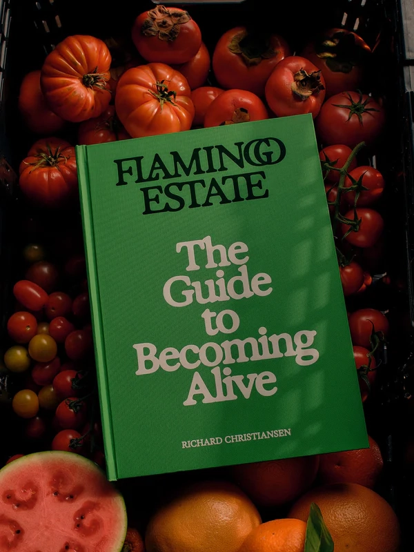 Alternative Image Flamingo Estate The Guide To Becoming Alive