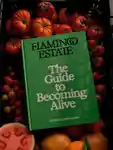 Alternative Image Flamingo Estate The Guide To Becoming Alive