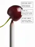 Alternative Image Glossier Lip Line Enhancing Pencil