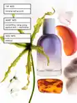 Alternative Image Glossier Glossier You Fleur Eaude Parfum