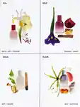 Alternative Image Glossier Glossier You Fleur Eaude Parfum