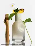 Alternative Image Glossier Glossier You Doux Eaude Parfum