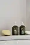 Alternative Image Bamford Geranium Duo