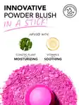 Alternative Image Polite Society Polite Pops Powder Blush Stick