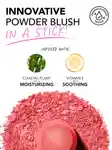 Alternative Image Polite Society Polite Pops Powder Blush Stick