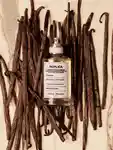 Alternative Image Maison Margiela Afternoon Delight