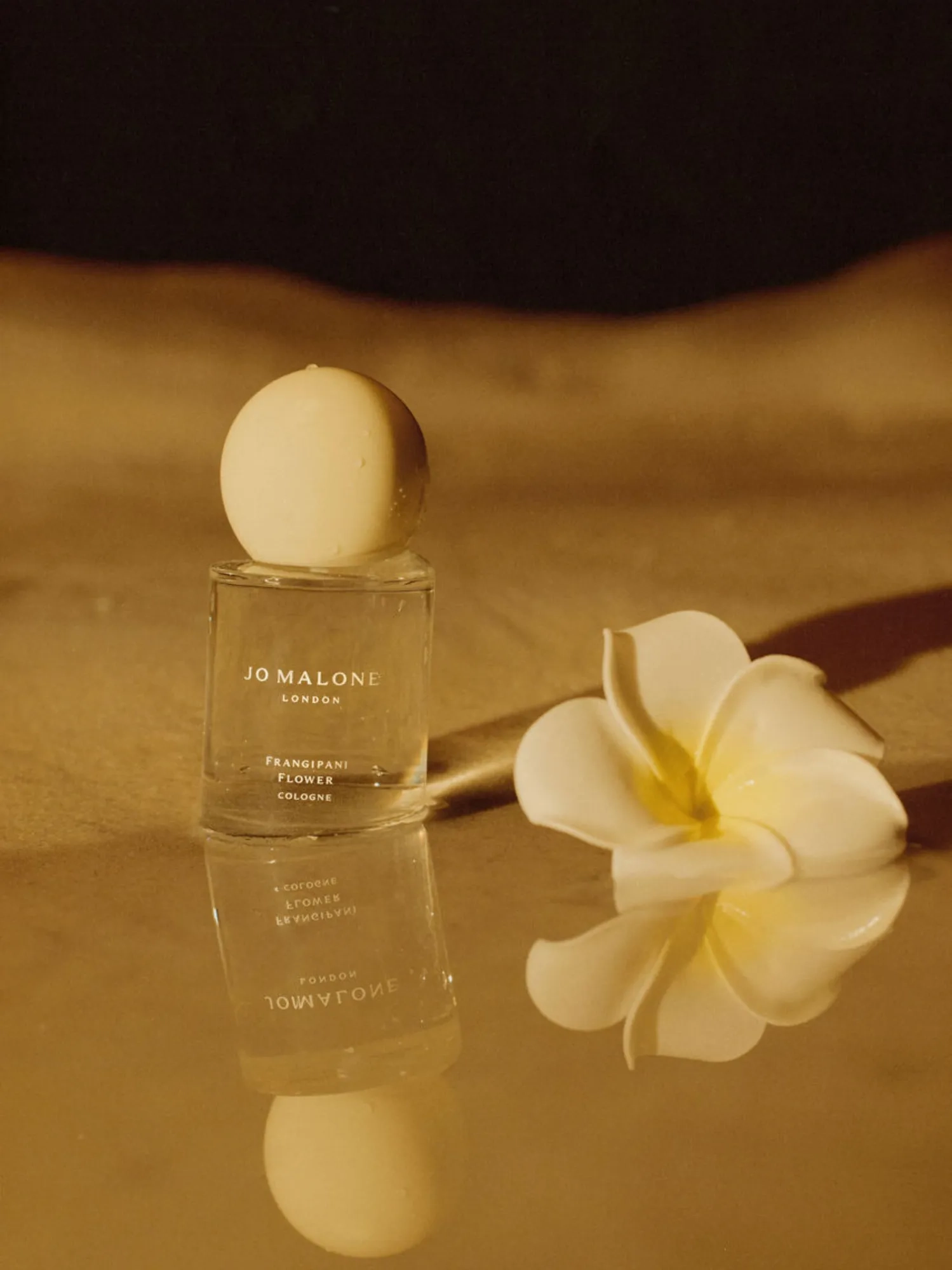 限定 Jo Malone Frangipani Flower 100ml Frangipani Flower Jo Malone London Parfum - ein es Parfum