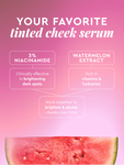 Alternative Image Glow Recipe Watermelon Glow Niacinamide Dewy Flush