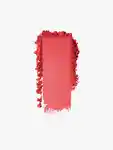 Swatch Urban Decay Face Bond Blush