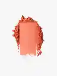 Swatch Urban Decay Face Bond Blush
