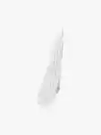 Swatch CLINIQUE Just Browsing Clear Sculpting Gel