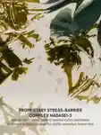 Alternative Image Tatcha Water Cream