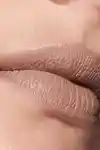 Alternative Image MAC Cosmetics Macximal Silky Matte Lipstick