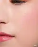 Alternative Image Bobbi Brown Pot Rouge Velvet Matte